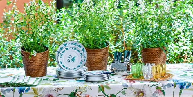 Coleção Matisse Casa e Vista Alegre inspirada no legado luso-indiano. A louça fina de porcelana branca utiliza tons de verde com motivo floral oriental, evocando a sofisticação e o exotismo das antigas rotas marítimas. Banner Coleção Matisse Casa e Vista Alegre inspirada no legado luso-indiano. A louça fina de porcelana branca utiliza tons de verde com motivo floral oriental, evocando a sofisticação e o exotismo das antigas rotas marítimas.