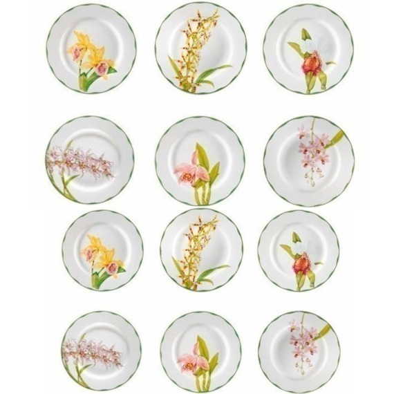Aparelho de Jantar Orquídeas Matisse Casa 12 Peças