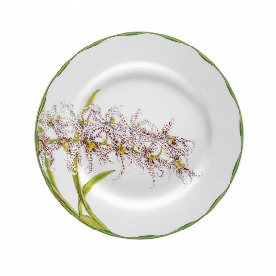 Conjunto Pratos Rasos Orquídeas Matisse Casa 6 peças