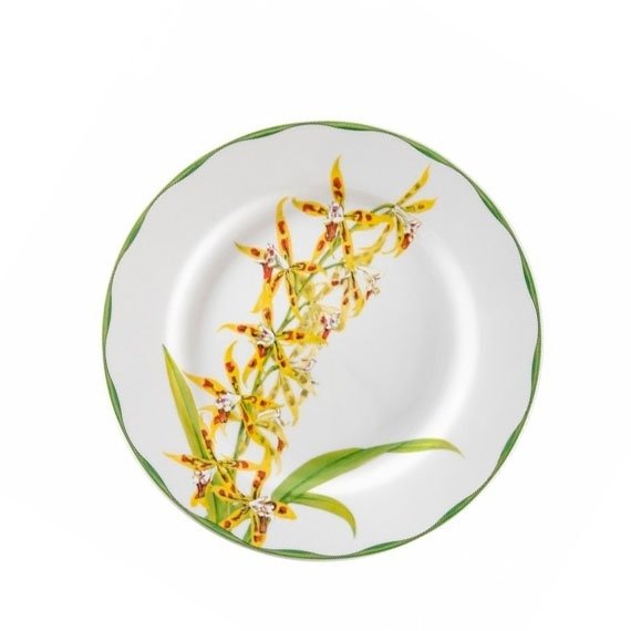 Conjunto Pratos Rasos Orquídeas Matisse Casa 6 peças