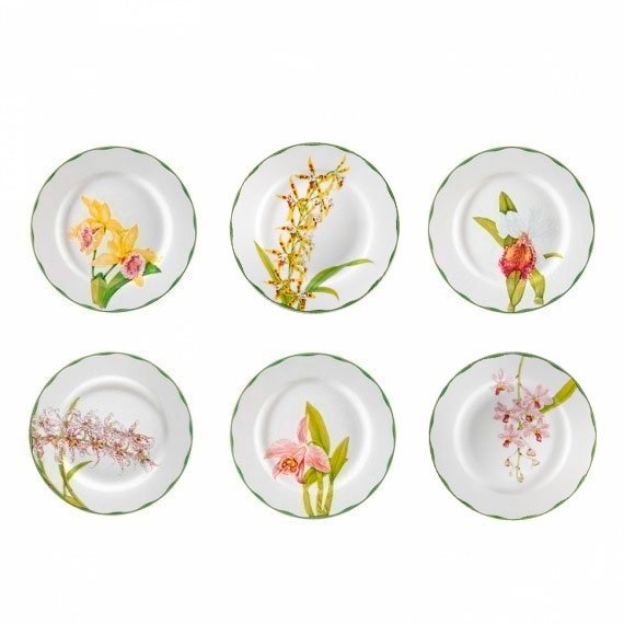 Conjunto Pratos Rasos Orquídeas Matisse Casa 6 peças