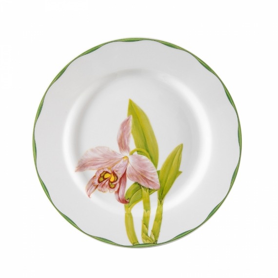 Conjunto Pratos Rasos Orquídeas Matisse Casa 6 peças