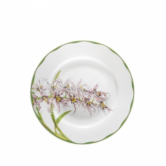 Conjunto Pratos Sobremesa Orquídeas Matisse Casa 6 peças