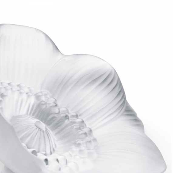 Escultura Lalique Anêmona Transparente P