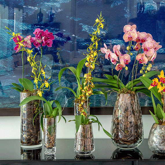 Vaso Christofle Madison P