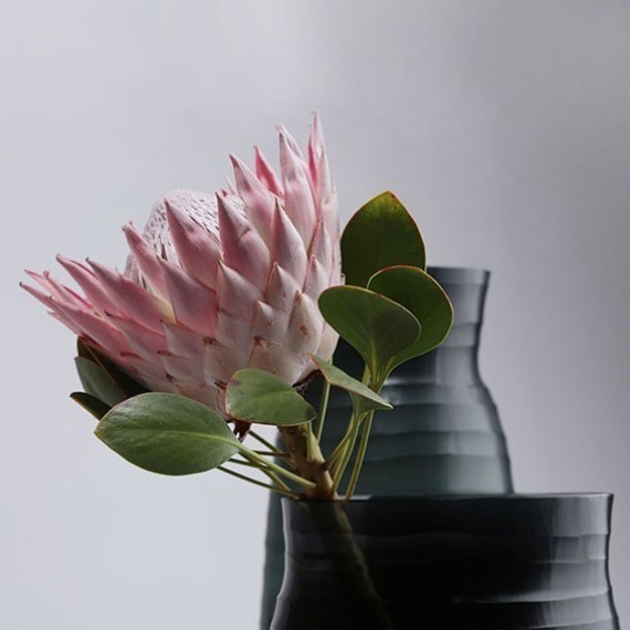 Vaso Guaxs Mathura G Verde Escuro 