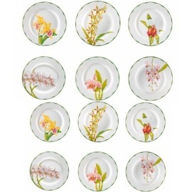 Aparelho de Jantar Orquídeas Matisse Casa 12 Peças