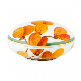 Caixa Redonda Amazônia G Vista Alegre