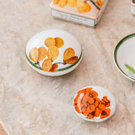 Caixa Redonda Amazônia P Vista Alegre