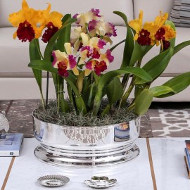 Centro de Mesa Império St. James Prata 41cm