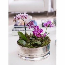 Centro de Mesa Spin St. James Prata 24cm