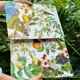 Conjunto 4 Jogos Americanos Retangular Montedoro