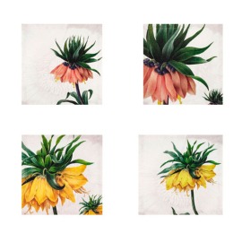 Conjunto 4 Guardanapos Fritillaria 