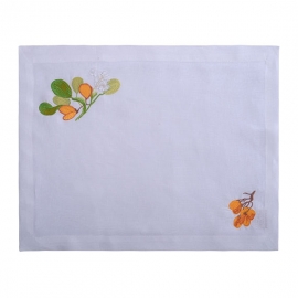 Conjunto Jogo Americano e Guardanapo Amazônia 2 peças