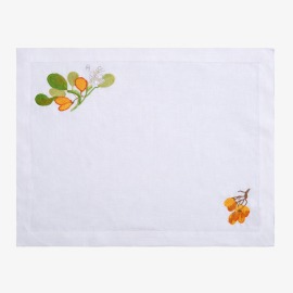 Conjunto Jogo Americano e Guardanapo Amazônia 2 peças