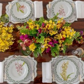 Conjunto Pratos Rasos Orquídeas Matisse Casa 6 peças