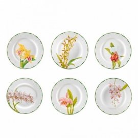 Conjunto Pratos Rasos Orquídeas Matisse Casa 6 peças