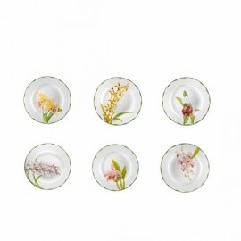 Conjunto Pratos Sobremesa Orquídeas Matisse Casa 6 peças