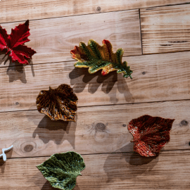 Folha de Carvalho Gudrun Claudia Schiffer by Bordallo Pinheiro 