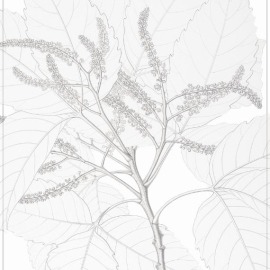 Manta Veludo para Sofá Dafne 1,40x1,80 The Napking