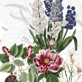 Manta Veludo para Sofá Dafne 1,40x1,80 The Napking