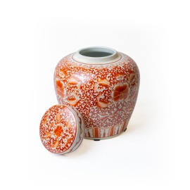 Pote com Tampa Imperial Coral