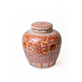 Pote com Tampa Imperial Coral