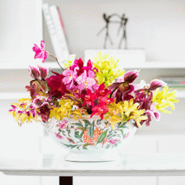 Sopeira Paço Real Vista Alegre