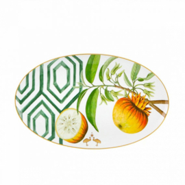 Travessa Oval Amazônia G Vista Alegre