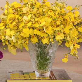 Vaso Lalique Champs Élyseés 