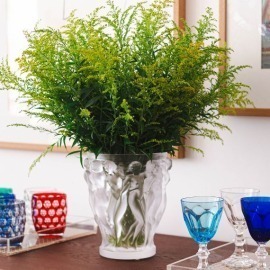 Vaso Lalique Bacchantes G Edição Numerada 