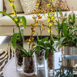 Vaso Christofle Madison P