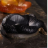 Centro Lalique Serpente Preto