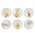 Conjunto Pratos Rasos Orquídeas Matisse Casa 6 peças