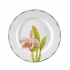 Conjunto Pratos Rasos Orquídeas Matisse Casa 6 peças