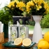 Água de Passar Perfumada Limone Matisse Casa