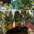 Toalha de Mesa Fritillaria 2,20x2,20 Linho The Napking