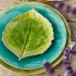 Travessa Folha Hortênsia Riviera Verde G Costa Nova 