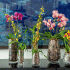 Vaso Christofle Madison P